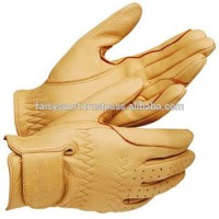 Horse Riding Gloves